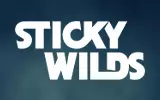 Sticky Wilds Casino