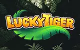 Lucky Tiger Casino