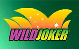 Wild Joker Casino